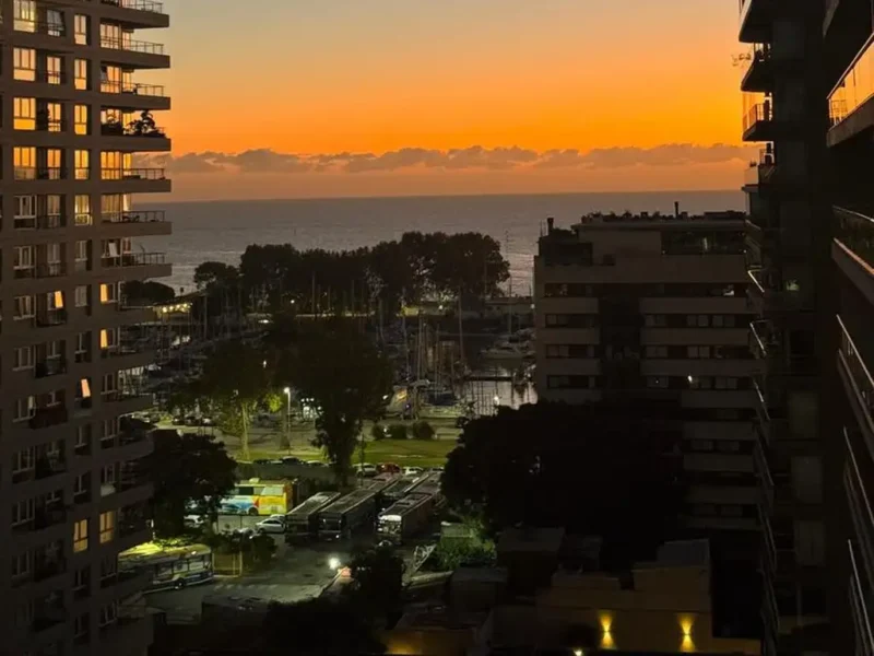 PALMERA Olivos Av. del Libertador al 2400